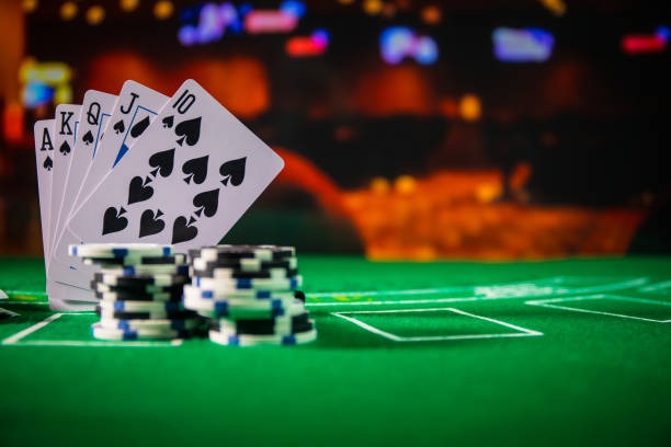 hokipalace slot volleyball sportsbook showing live match odds and fixture calendar